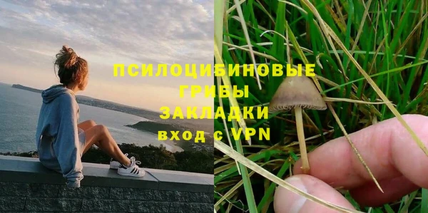 a pvp Володарск