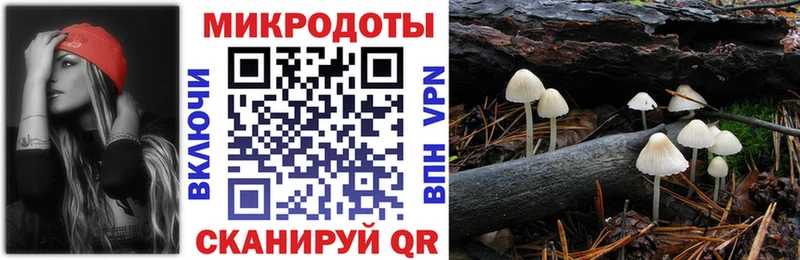 Псилоцибиновые грибы Magic Shrooms  где продают наркотики  Камешково 